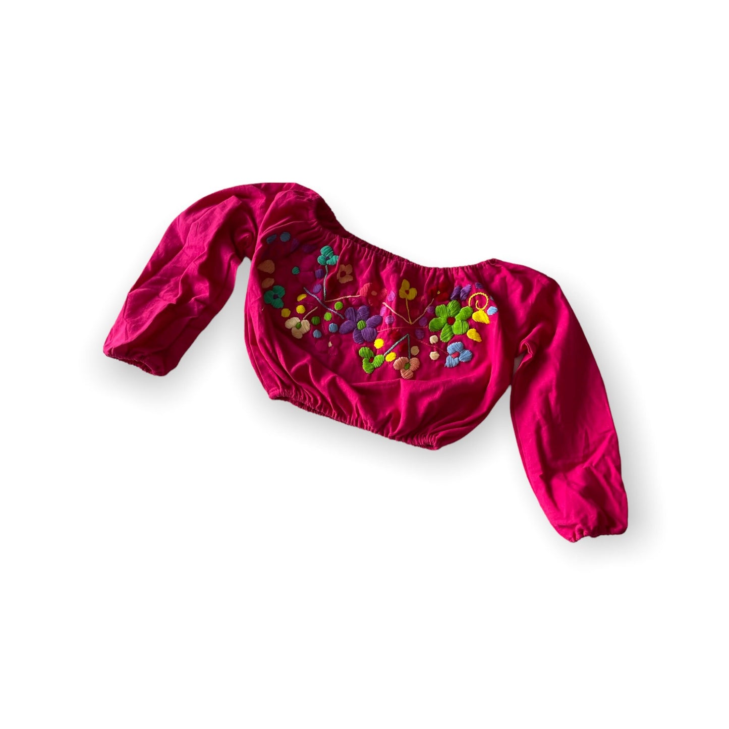 Zuly Embroidered Crop Top